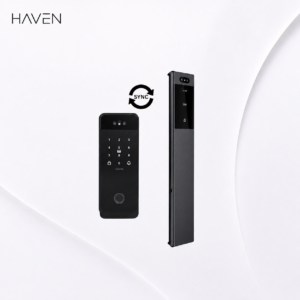 Haven Oracle+